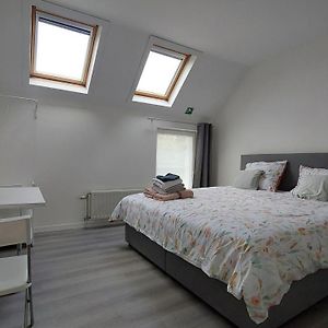 Standaard Kamer met een King Size Bed